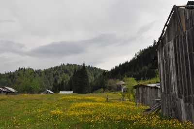 Torkul Yaylası ve Göleti